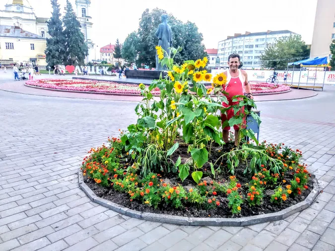 У центрі Луцька зацвіли соняхи та чорнобривці (фотофакт)