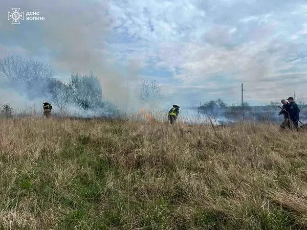 Підпал, замикання, необережність: на Волині загасили шість пожеж (фото)