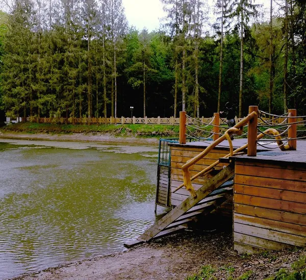 Показали красу літнього Воротнева (фото)