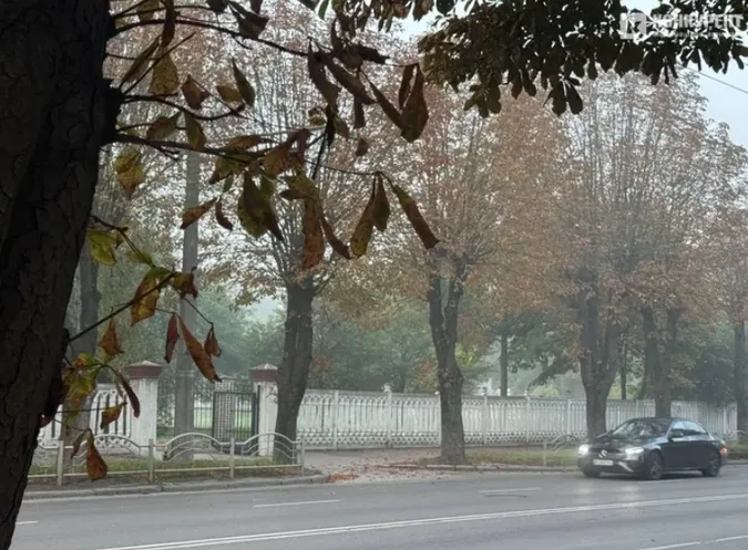 Вночі і зранку Волинь накриє густий туман