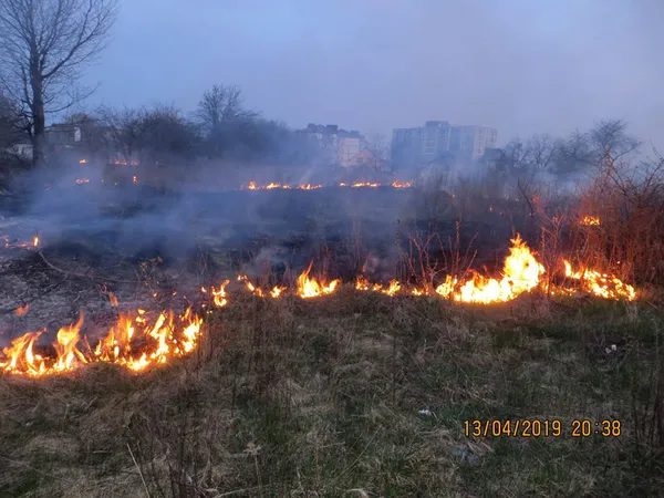 У Луцьку палії трави ледь не спалили сусідам хату (фото)