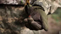 Фронтова весна: волинська бригада показала, як прокидається природа на лінії оборони (фото)