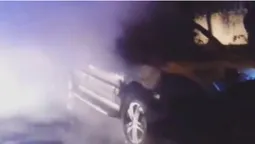 Лучанин зняв відео, як палало авто на ЛПЗ (відео)