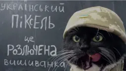 Головне у Луцьку: ТОП новин середи, 20 липня