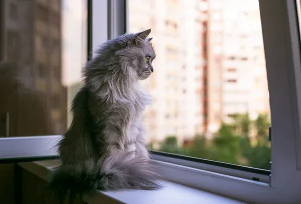 Якою буде погода у Луцьку 20 січня