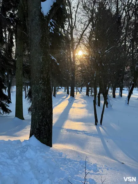 У Луцьку в центральному парку в мороз -17 °C бігав чоловік без одягу (фото, відео)