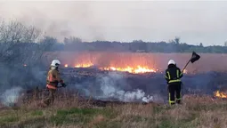 Підпал, замикання, необережність: на Волині загасили шість пожеж (фото)