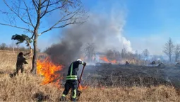 Палії не зупиняються: на Волині за добу сталося 12 пожеж (фото)