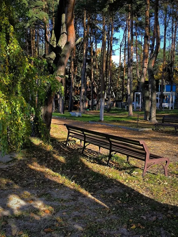 Осінній спокій озера Пісочне у Ковельському районі (фото)