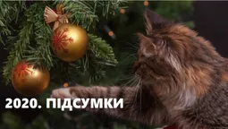 "Добре, що вижили": волиняни поділилися підсумками бентежного 2020-го (фото)