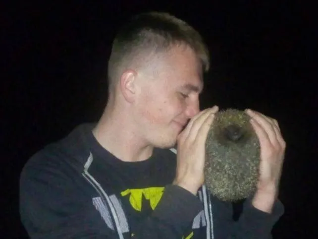 На могилу до загиблого військового, який любив їжаків, прийшов колючий друг (фото)