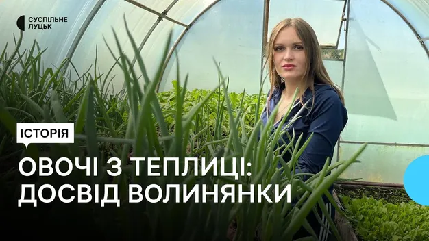 «Ніякої хімії»: як волинянка вирощує у теплиці зелень та овочі (відео)
