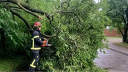 На Волині лютувала буря – показали наслідки негоди (фото)