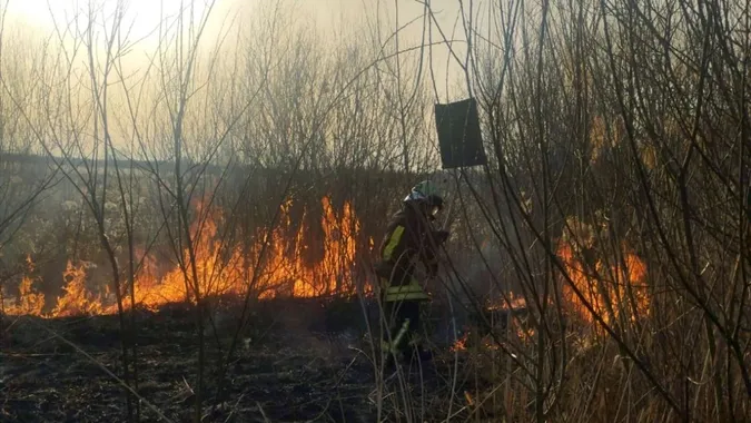 Палає по всій області: на Волині – масові пожежі сухостою (фото)