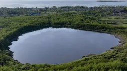 На півночі Волині – неглибоке озеро з гігантськими линами (фото)
