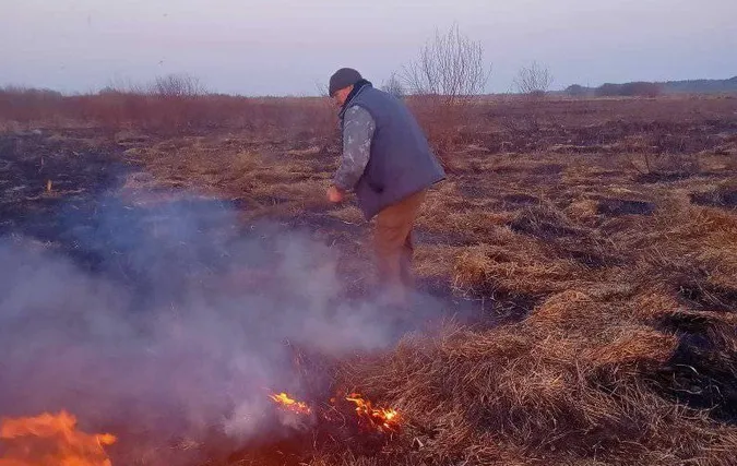Вогонь охопив національний парк на Волині: у чому причина