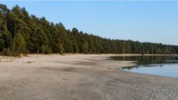 Лежаки стоять там, де колись була вода: популярне озеро на Поліссі катастрофічно обміліло (фото)