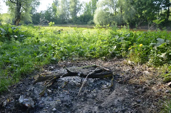 Однак можна було знайти й сліди колишнього багаття, біля якого було чисто