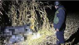 У селі біля Луцька знайшли підозрілий предмет – працювали вибухотехніки