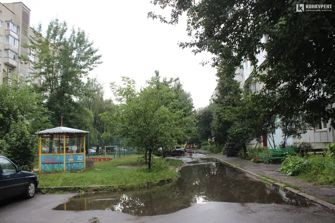 Підтоплені двори і опале листя: наслідки грози у Луцьку (фото)