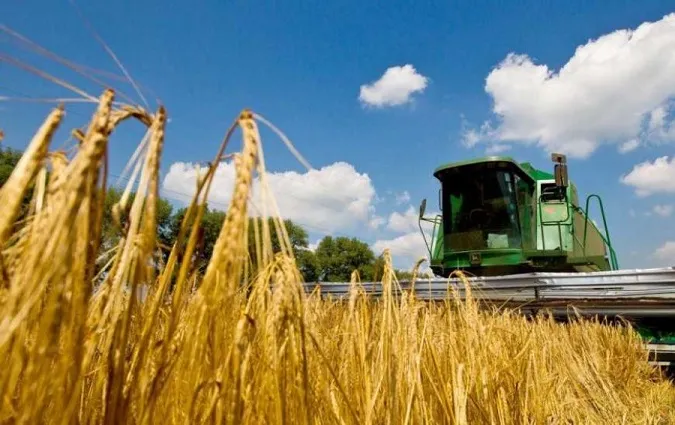 Волинь від початку року експортувала агропродукції на 123 мільйони доларів
