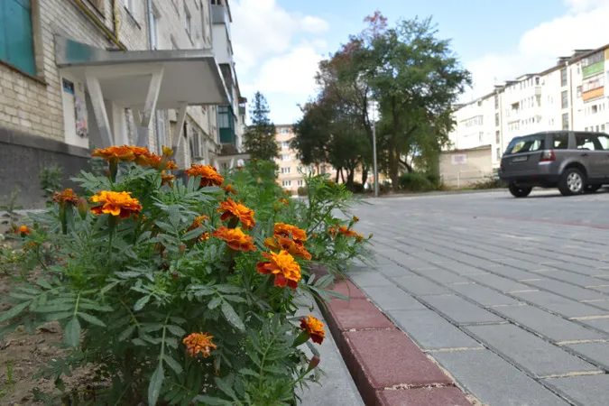 Як у Луцьку ремонтують двори (фото)