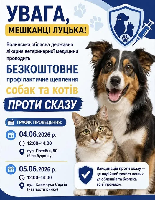 Безплатно і без запису: у Луцьку два дні щеплюватимуть собак і котів від сказу