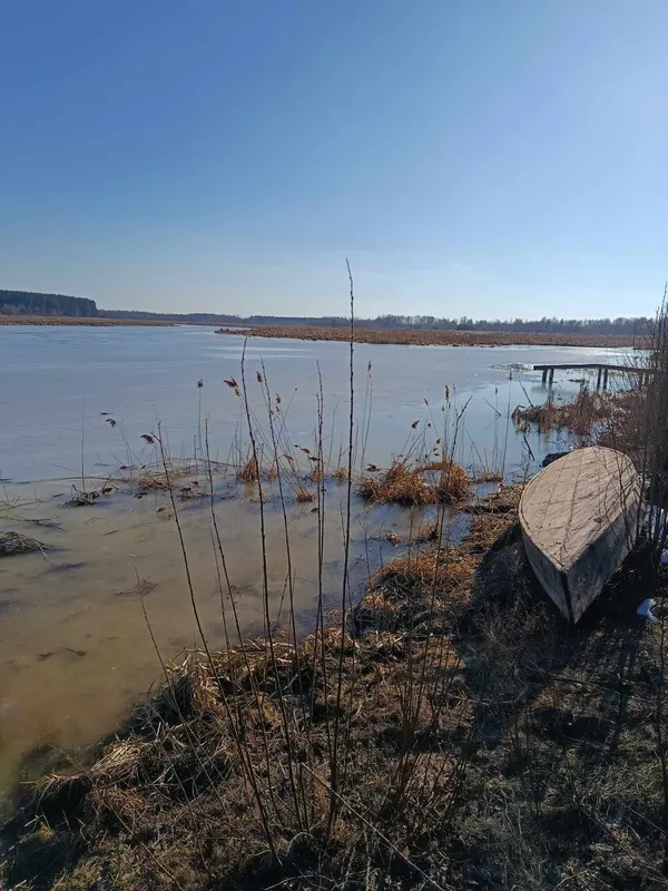 Волинська Амазонка скидає лід: показали, як у річці Стохід зашепотіла течія (фото)