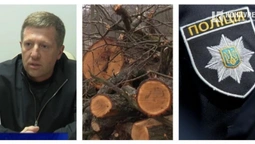На Волині – скандал з поліцією: куди зникла вантажівка з дубом? (відео)