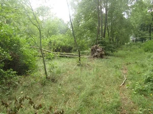 На кордоні Білорусі і Волині наводять лад (фото) 
