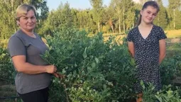 Сімейна справа, яка об'єднує: як родина з Волині розвиває бізнес на лохині (фото)