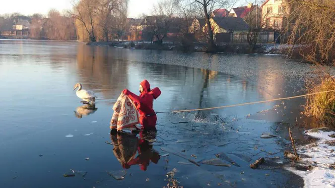 Не рятуйте тварин без потреби, – звернення Луцького зоопарку