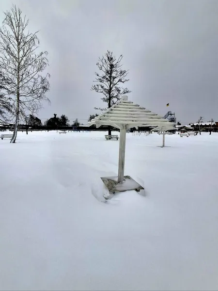 Космічні краєвиди: зима огорнула Світязь у білосніжну ковдру (фото)
