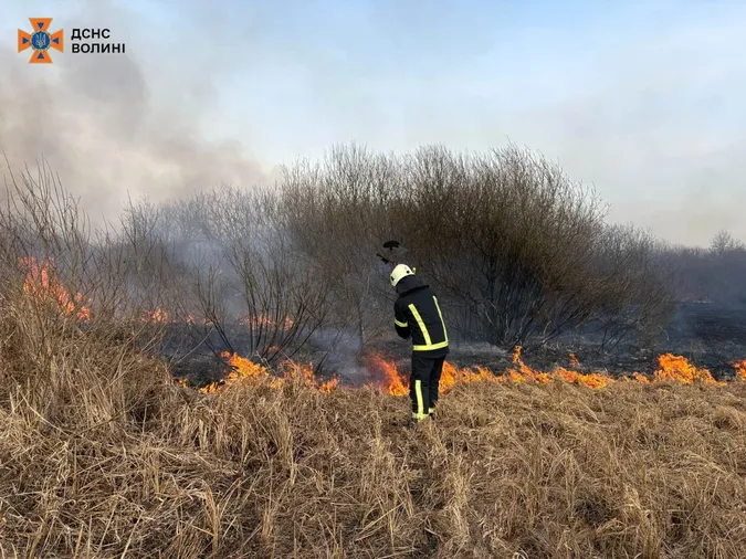 Вогонь нищив усе живе: на Волині вигоріли 26 гектарів землі (фото)