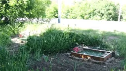 Як у Луцьку легально поховати тварину