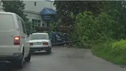 Зірвана покрівля та повалені дерева: у Володимирі бушує негода (фото, відео)