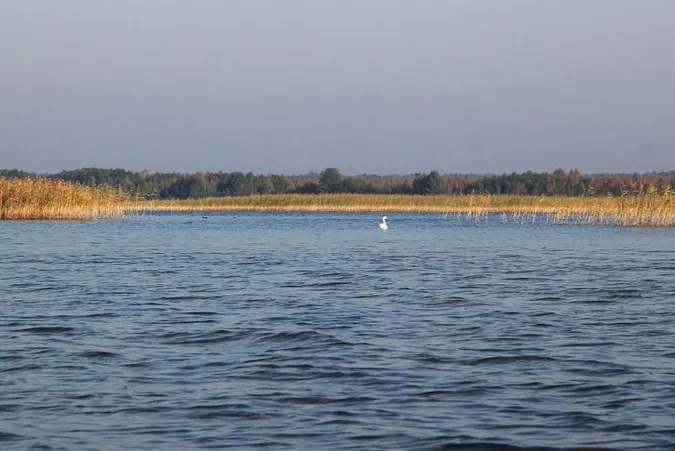 На Волині Західний Буг розмиває береги