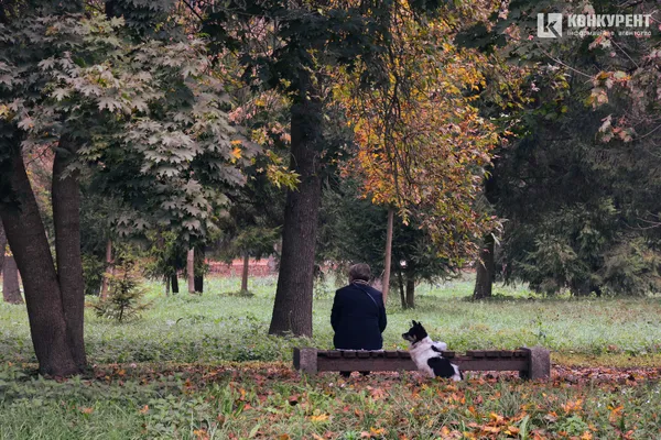 Осінь у луцькому парку: тиша і сплеск кольорів (ФОТО)