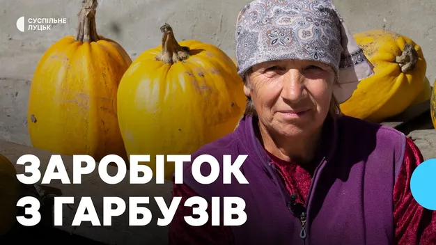 Ціна насіння гарбуза: як і скільки заробляють в селі на Волині (фото, відео)