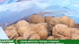 Горіхів цьогоріч – катма: продавці луцького ринку розповіли, чому ціни кусаються (відео)