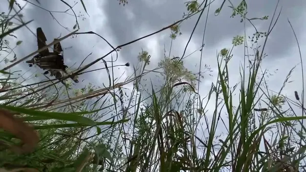 Slow motion: винищувач МіГ-29 заходить на посадку в Луцьку (відео)