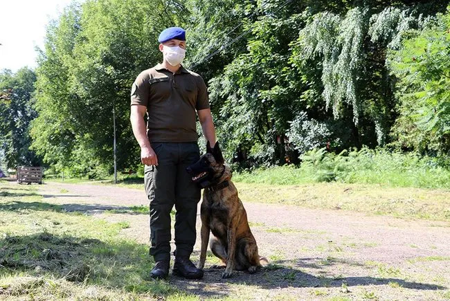 У Львові відбувся парад собак, які захищали країну на сході (фото)