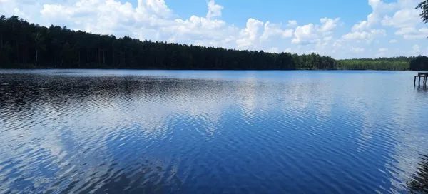 Острів, який зник під водою, і «гліцеринова» вода: чим дивують три озера Полісся (фото)