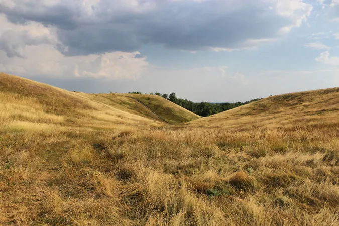 Фото ілюстративне