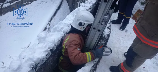 У Світязі рятувальники витягли з шестиметрової ями собаку (фото)
