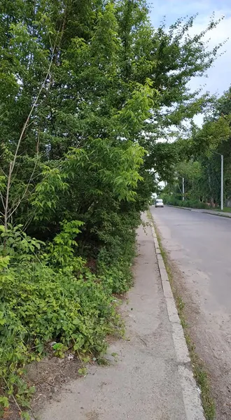 Шприци, пляшки і навіть унітаз: у Луцьку замість стежки – смуга перешкод (фотофакт)
