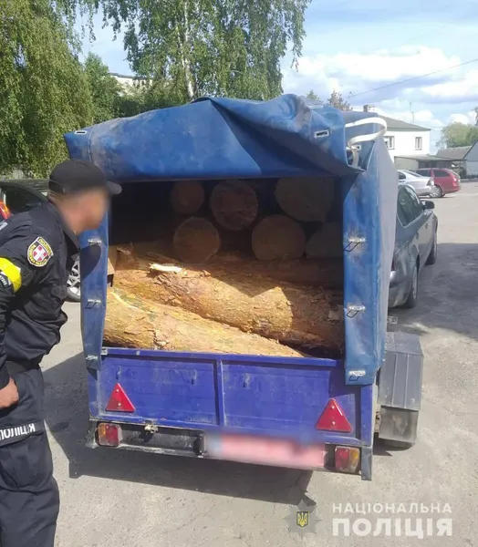 На Волині водій «запакував» у причеп майже два десятки соснових колод (фото, відео)