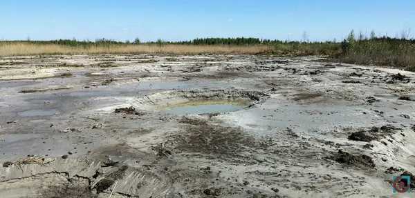 Бурштиновий промисел на карантині: що відбувається на поліських клондайках (фото, відео)