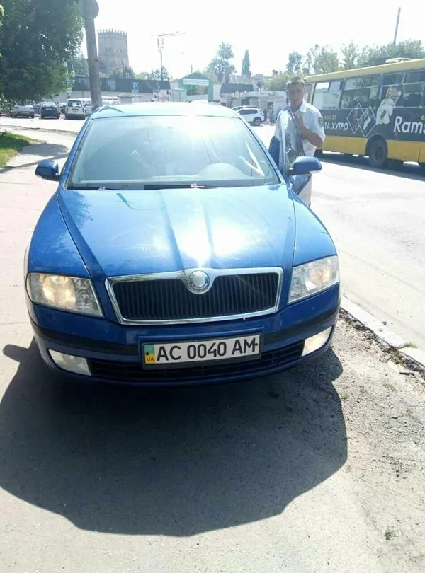 Автівки на газонах: у Луцьку ловили порушників (фото)
