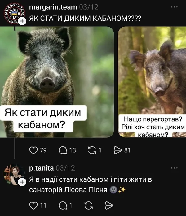 Мережа вибухнула мемами про санаторій «Лісова пісня»: що коїться (фото)